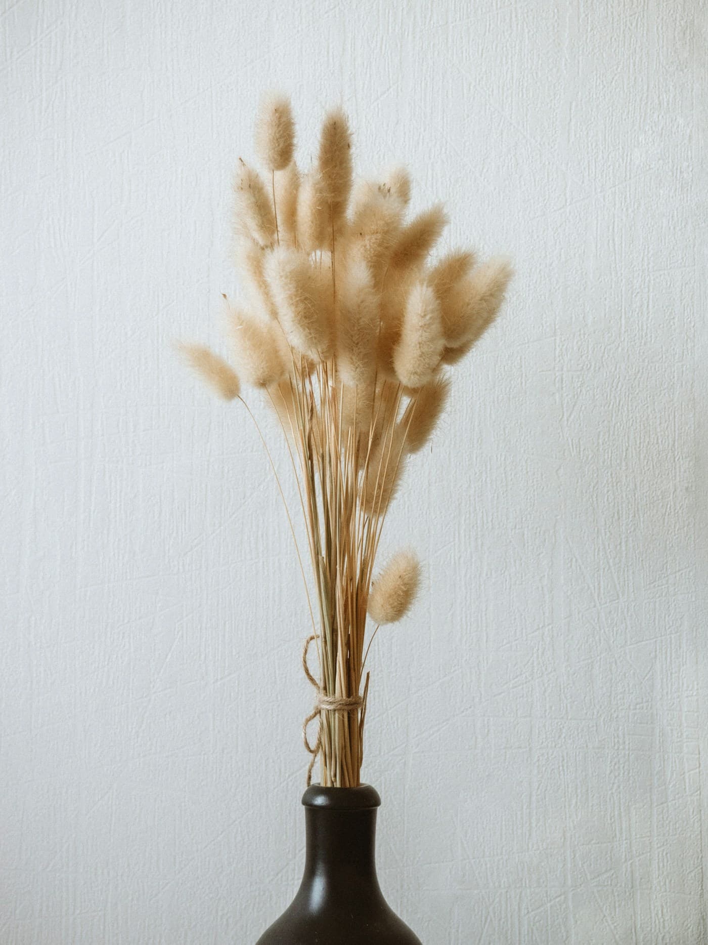 Dried grasses in a dark ceramic vase
